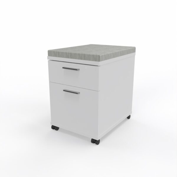 Mobile Pedestal with Cushion