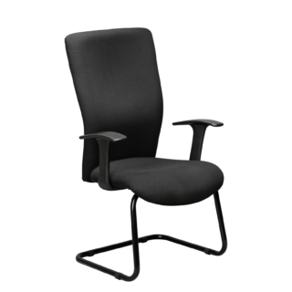 Day 2 Day Universal Sleighbase Chair